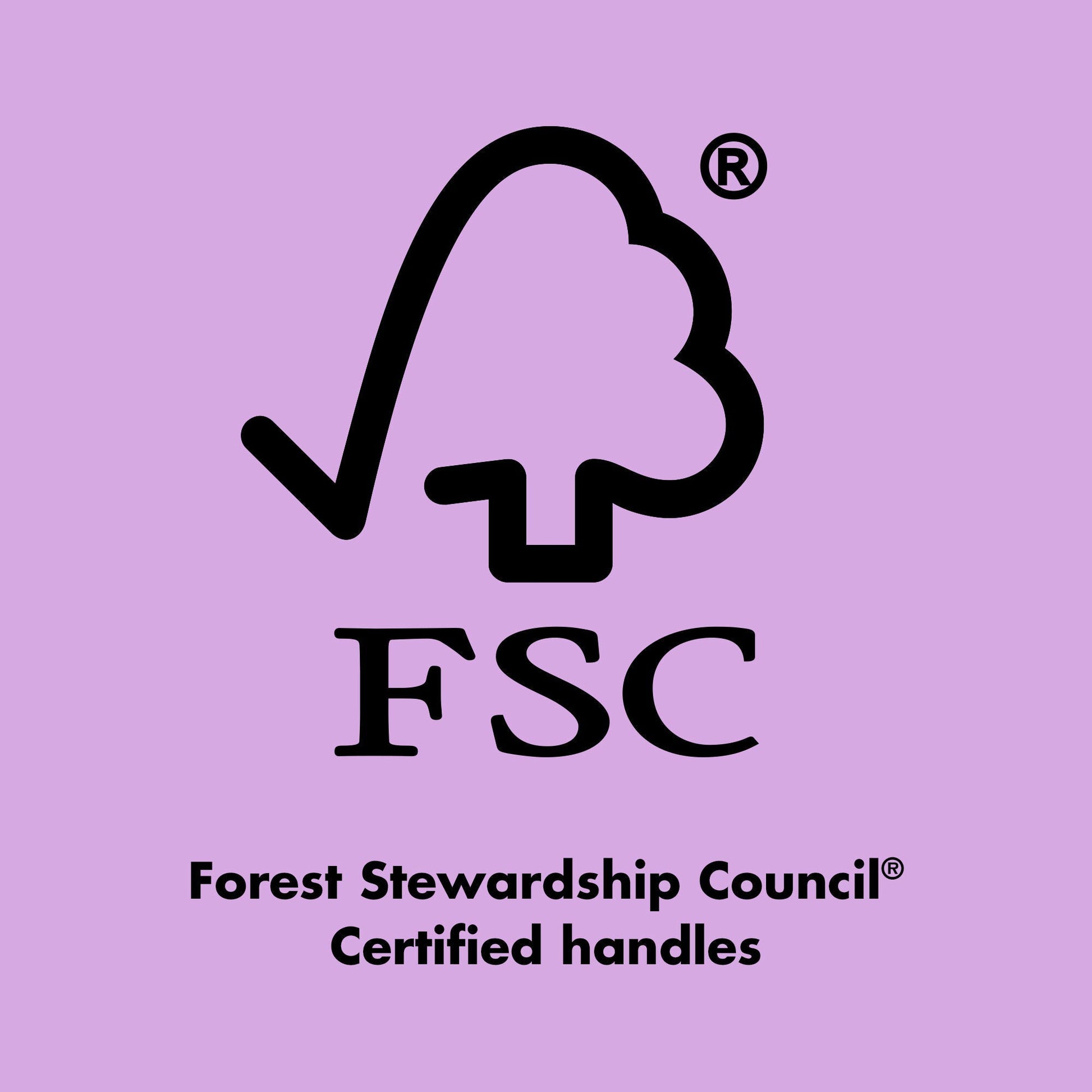 ten-out-of-ten-brush-kit-f2 0423_EDUCATION_FSC_EVERGREEN.jpg