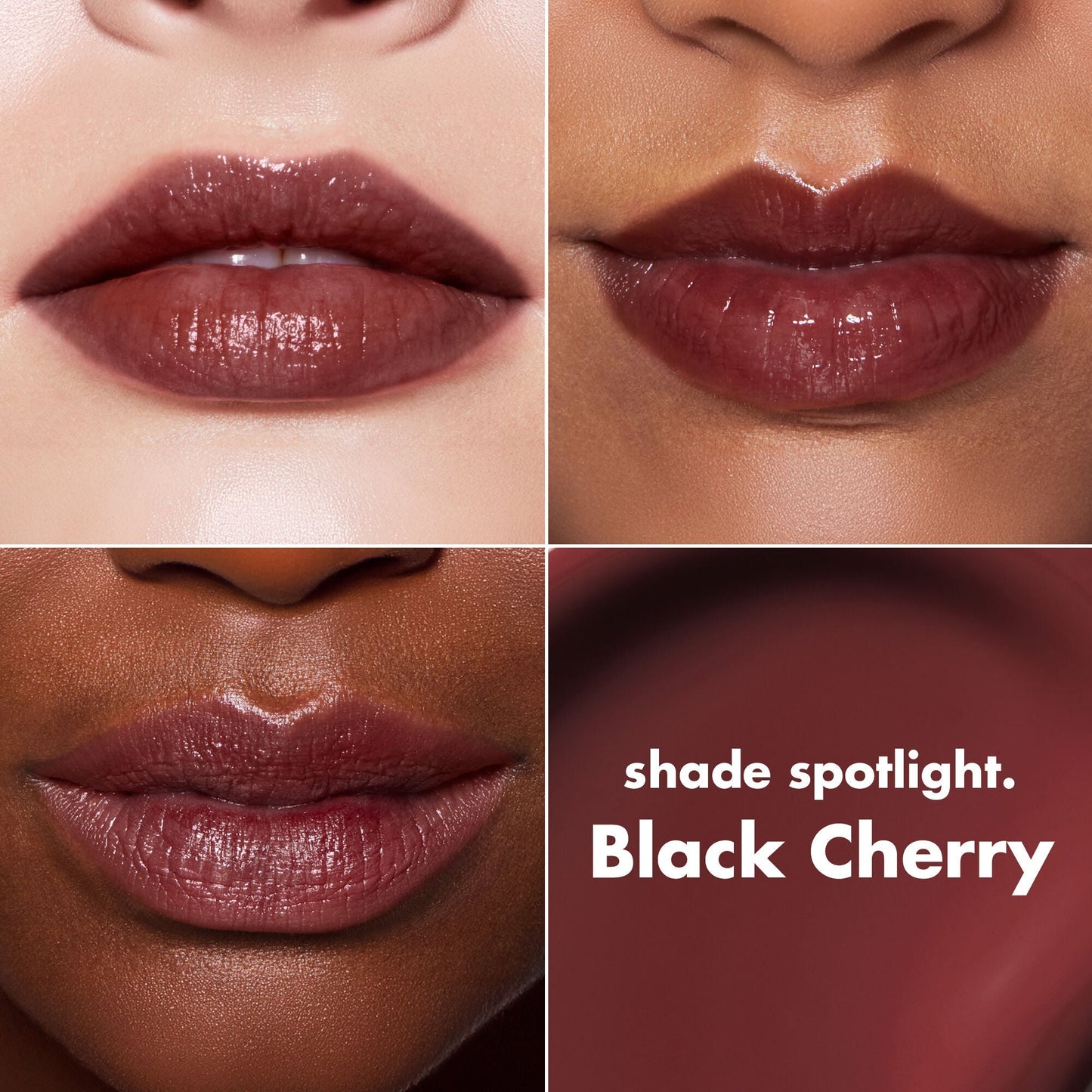 lip-lacquer-v3 0426_EDU_LipLaquer_ShadeChart_BlackCherry.jpg