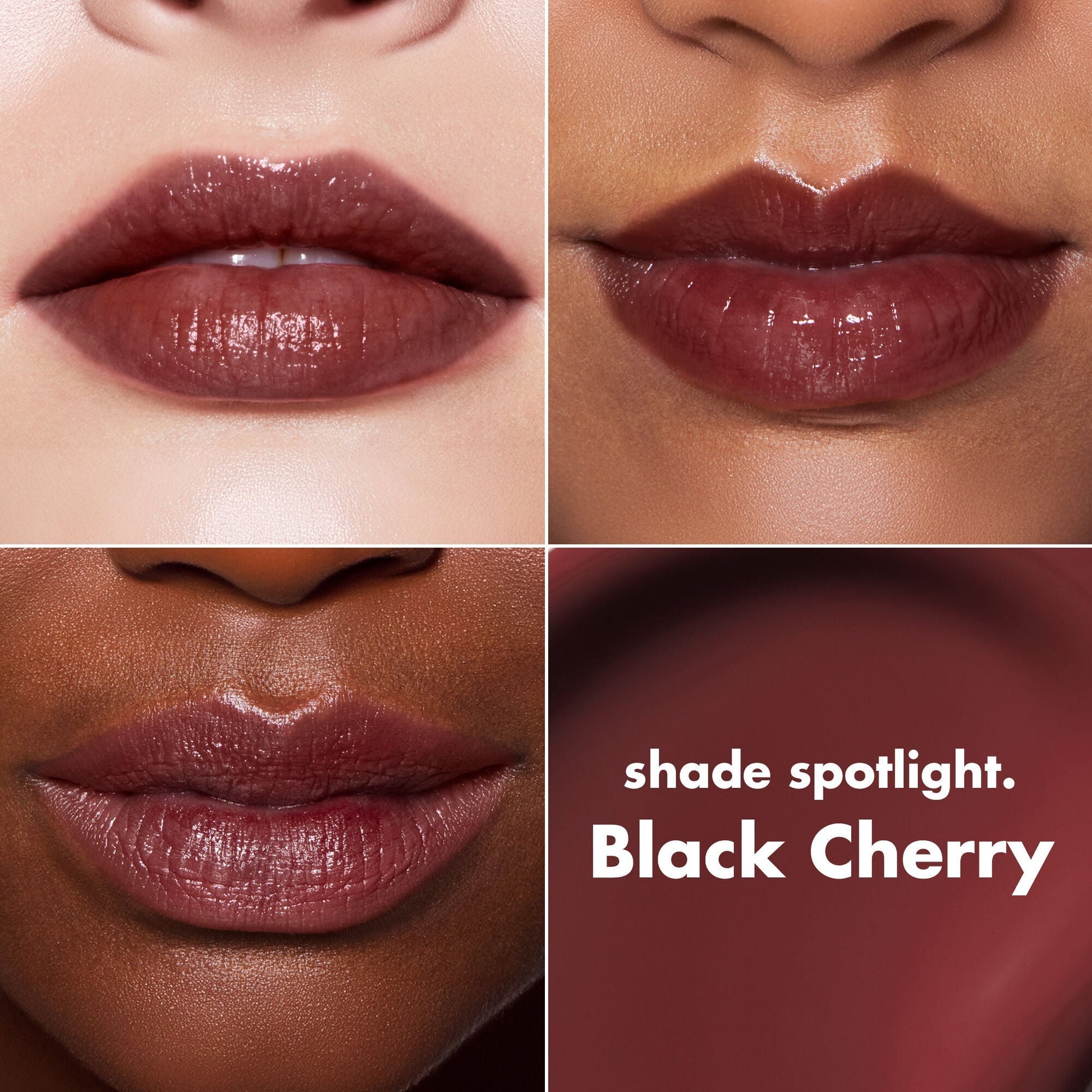 lip-lacquer-v3 0426_EDU_LipLaquer_ShadeChart_BlackCherry.jpg