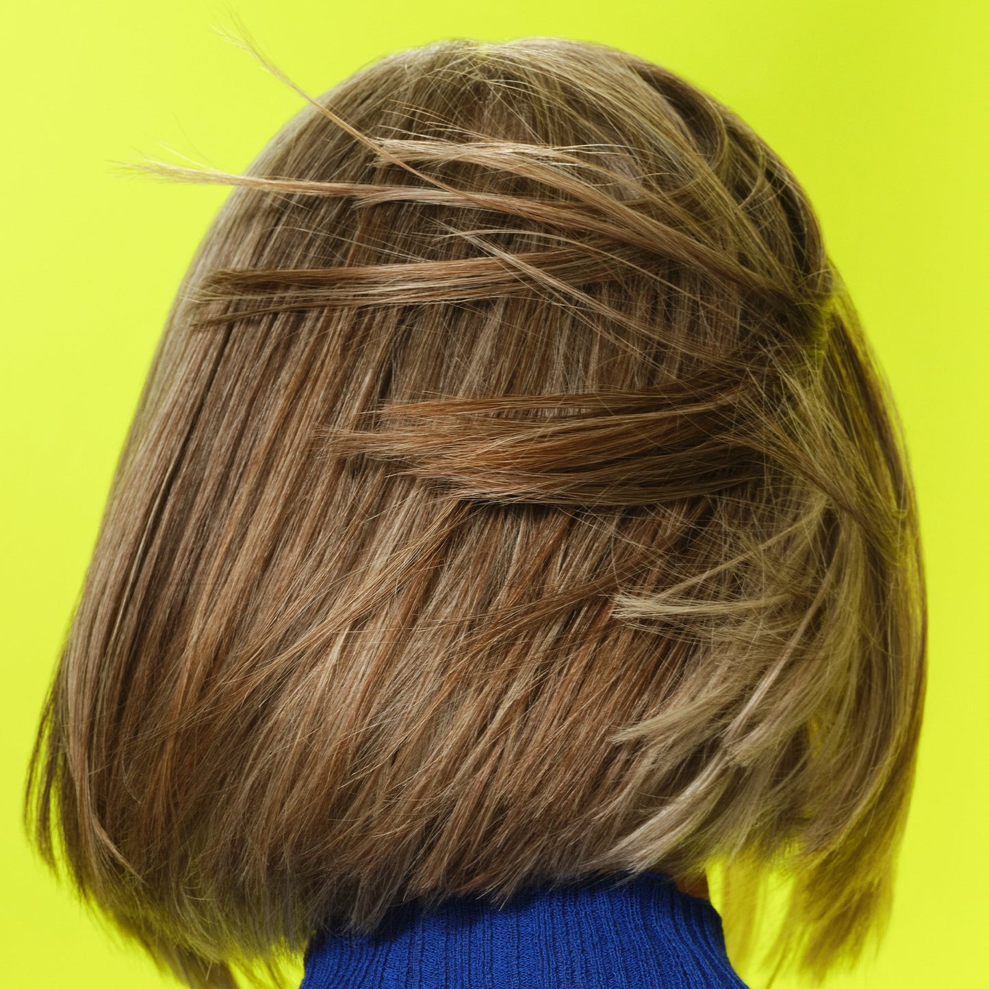 frizz-to-rizz-trio-s3 111725_Vicky_HumidityAntifrizz-Editorial_0538_w2QC_IGF_1x1_05a09617-4ccf-44a2-8545-199321a503e1.jpg