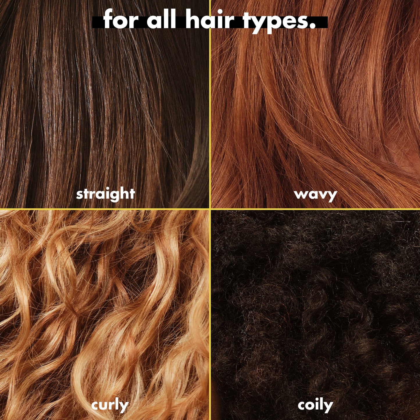 3-in-wonder-duo-p4 FA26_EDUCATION_DARE_GLOSS_MODE_ALLHAIR_TYPES.jpg